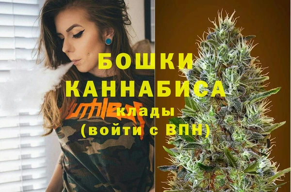 крисы Горнозаводск