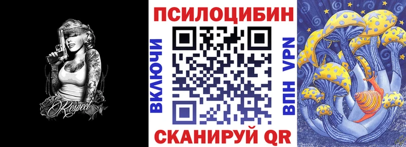 купить закладку  Москва  Псилоцибиновые грибы Psilocybe 